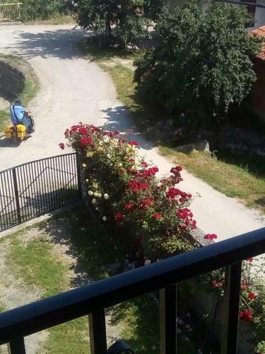 Bed & Breakfast Prenocista Seka