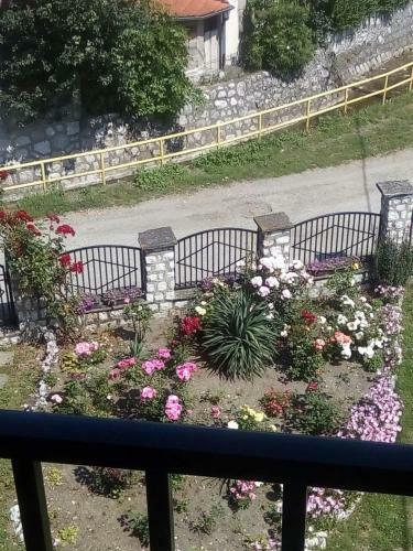 Bed & Breakfast Prenocista Seka