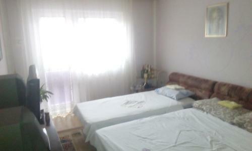 Hostal Guest House Obradovic