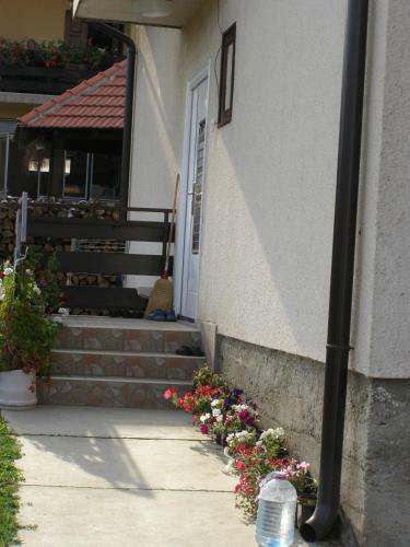 Hostal Guesthouse Lidija