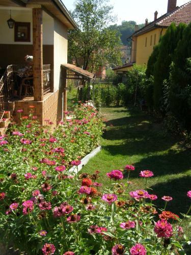 Hostal Guesthouse Lidija