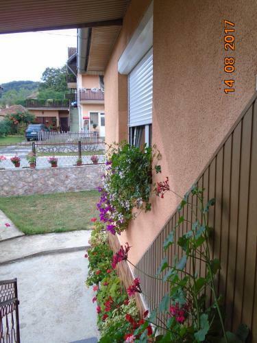 Hostal Guesthouse Sipetic