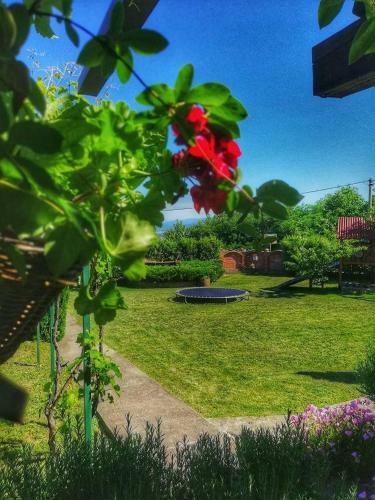 Hostal Seosko Domacinstvo Imunsan
