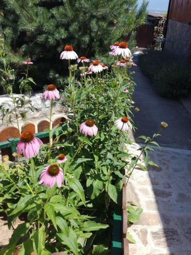 Hostal Seosko Domacinstvo Imunsan