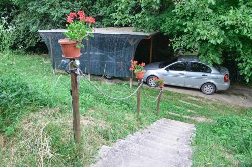 Morava Garden