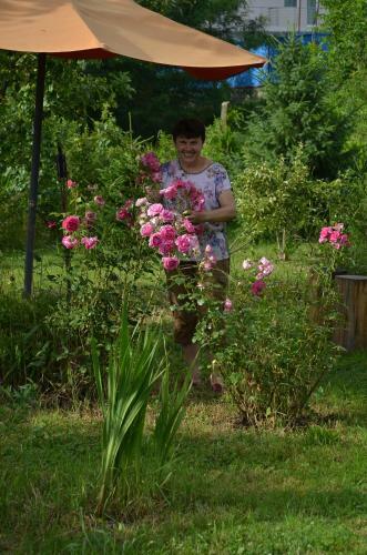 Morava Garden