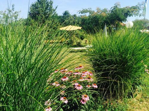 Morava Garden