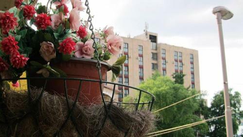 Apartment Ru?a