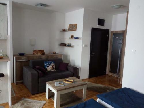 Zlatibor The Only Pine Apartments A4