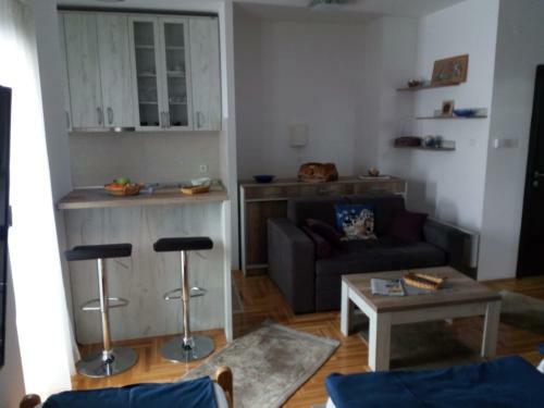 Zlatibor The Only Pine Apartments A4