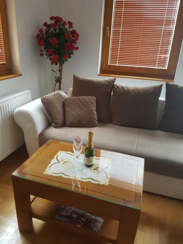 Apartment Joksimovic