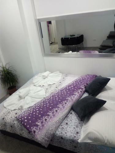 Apartment Centar
