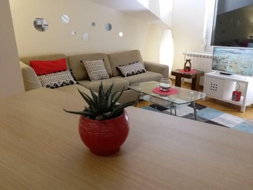 Apartment Bumerang