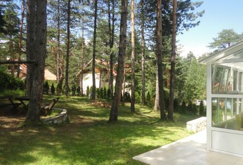 Apartment Kraljeve Vode