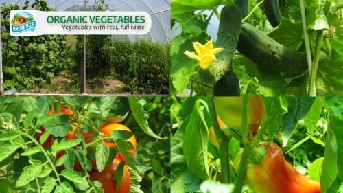 Hostal Eco Farm Milanovic
