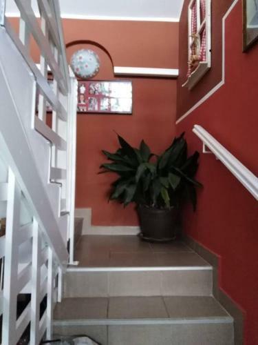 Apartman Vrdni?ak