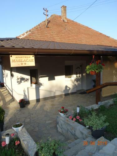 Apartman Masla?ak