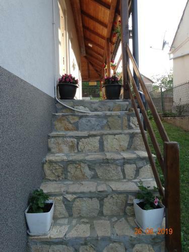 Apartman Masla?ak