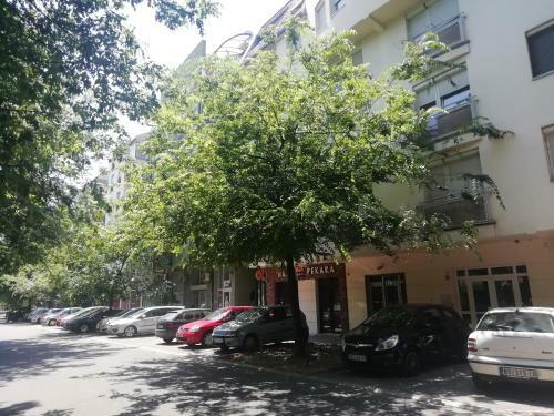 Two Kings Apartment - Free Private Parking