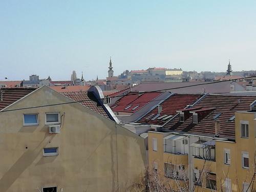 Two Kings Apartment - Free Private Parking