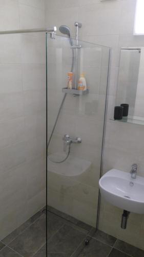 Apartment Rose 11