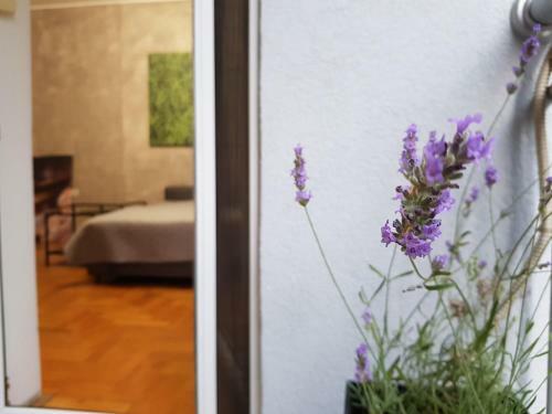August Apartment