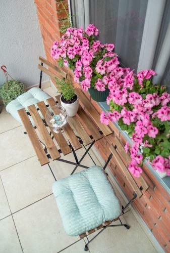August Apartment