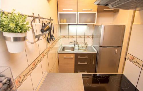 Danube Apartment