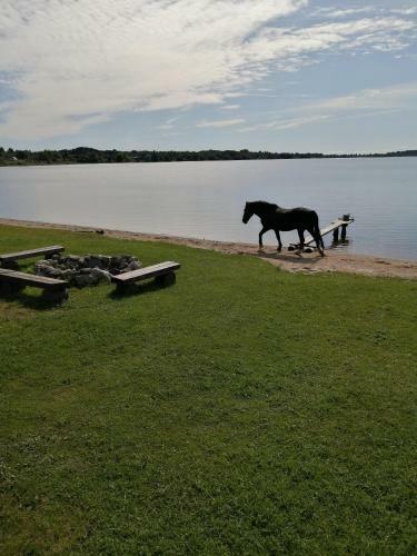 Hostal Guesthouse Na Ozere Seliger