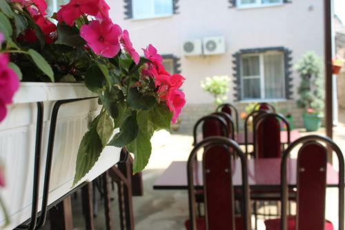 Hostal Guest House Solnechnaya Dacha 2