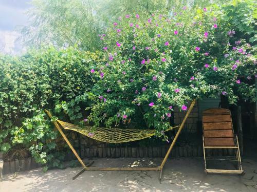 Hostal Guest House On Kalinina 12