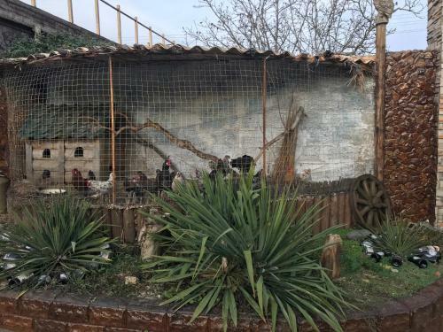 Hostal Guest House On Kalinina 12
