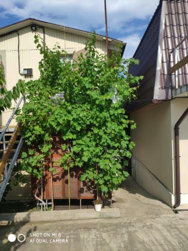 Hostal Guest House Poseidon
