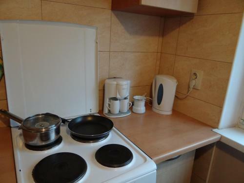 Apartment Ostrov Oktyabrskiy