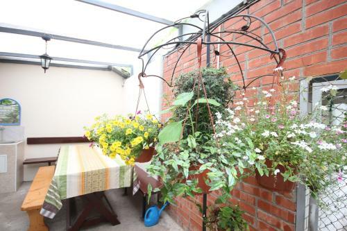 Hostal Kormal Guest House