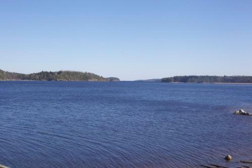 Palkoniemi