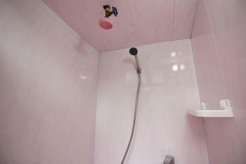 Hostal Guest House Viktoria House