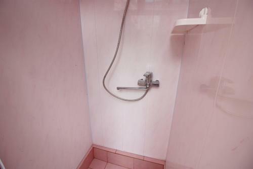 Hostal Guest House Viktoria House