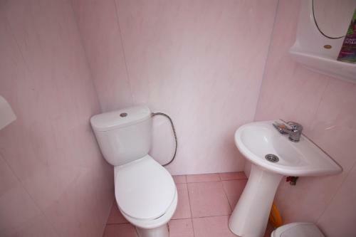 Hostal Guest House Viktoria House