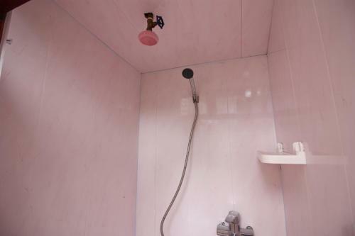 Hostal Guest House Viktoria House