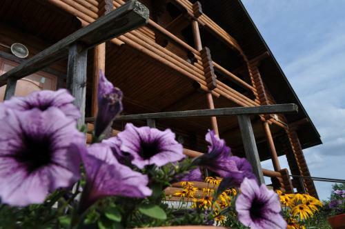 Hostal House Mironovo