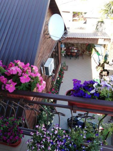 Hostal Guest House Letniy