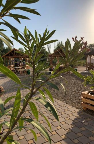 Apartamenty Na Pogranichnoy 4