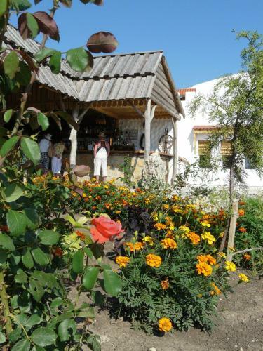 Hostal Kavkazskie Legendy