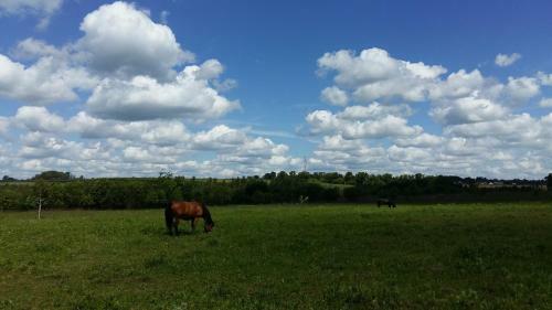 Agroturismo Farm Stay