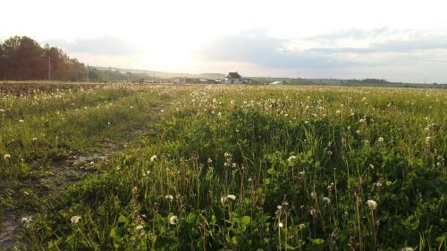 Agroturismo Farm Stay