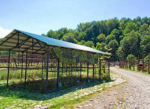 Agroturismo Baza Otdykha New Vasyuki