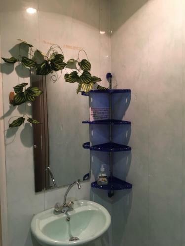 Hostel Tip-top