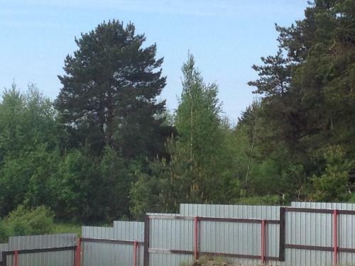 Hostal Guest House Zarechye 18