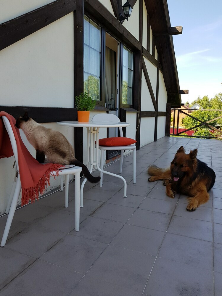 Hostal Dream Village